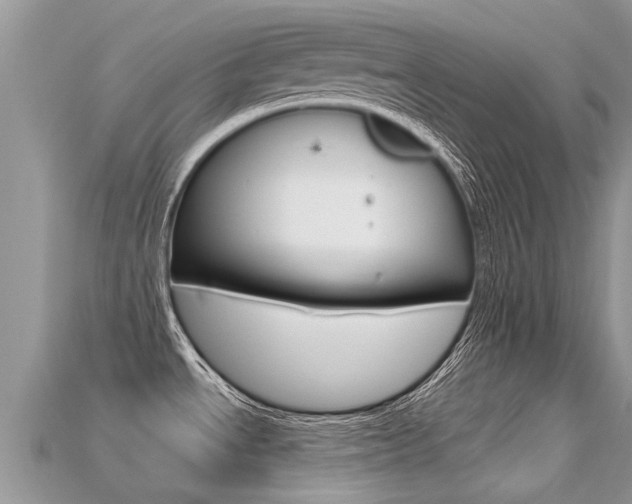 X0000115691534200911120957