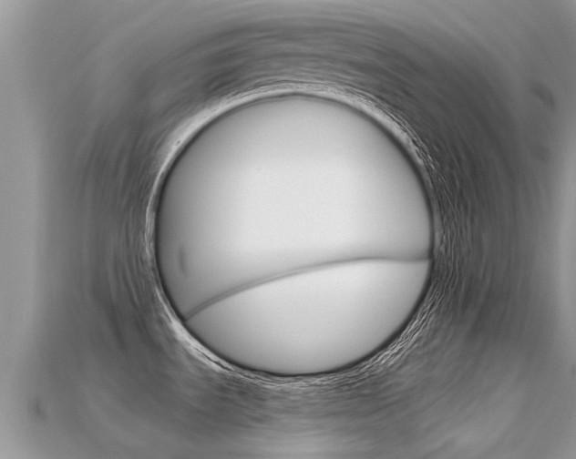 X0000115691535200911120957