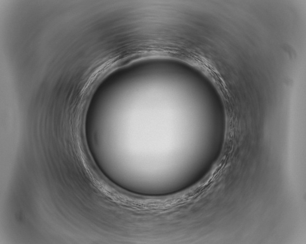 X0000115690001200911121318