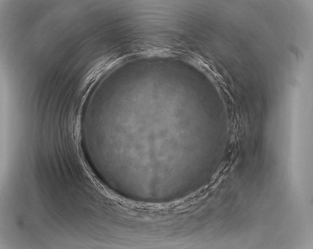 X0000115690002200911121318