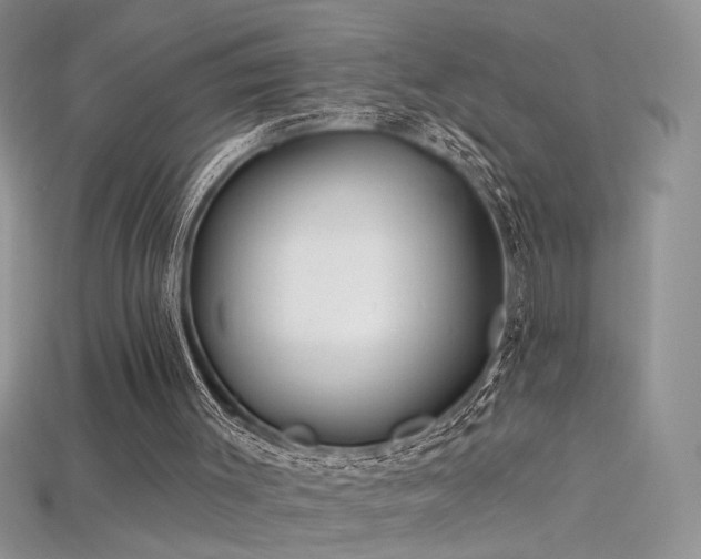 X0000115690003200911121318