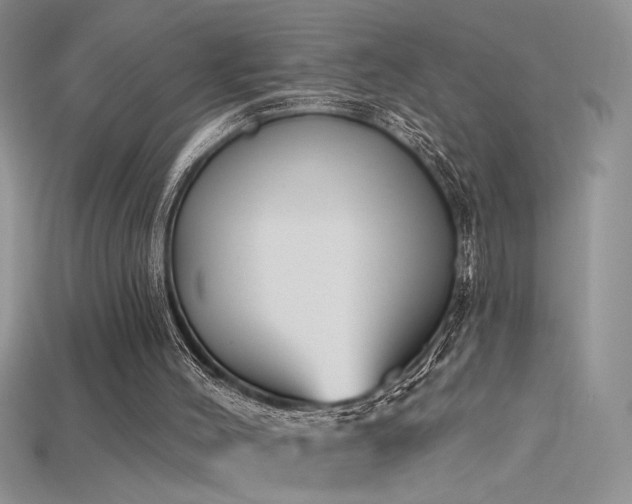 X0000115690004200911121318