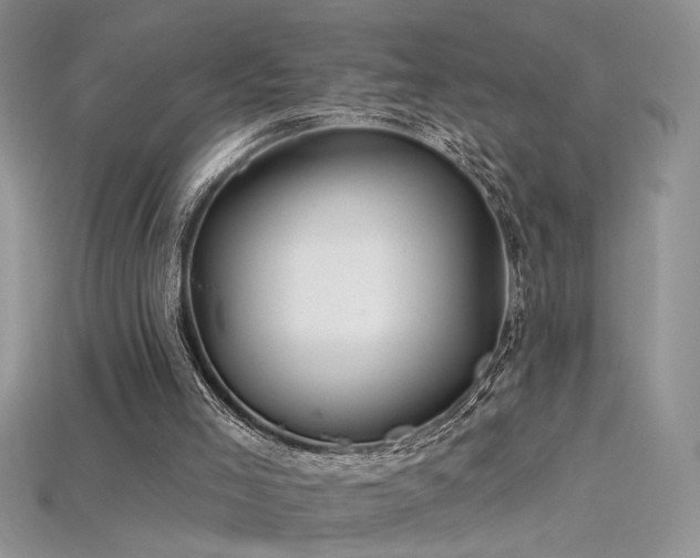 X0000115690005200911121318