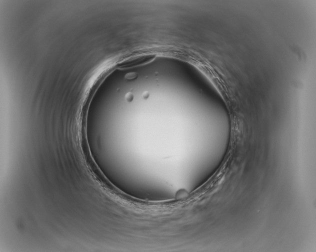 X0000115690006200911121318