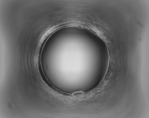 X0000115690007200911121318