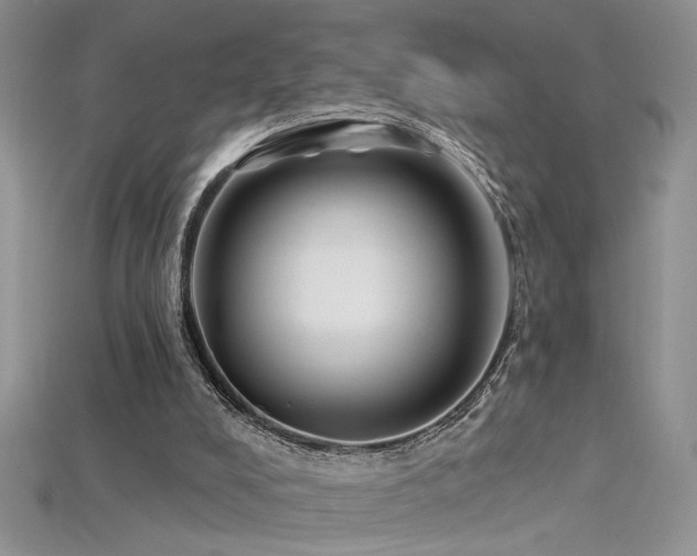 X0000115690008200911121318