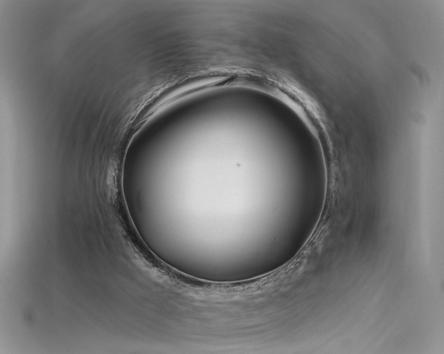 X0000115690009200911121318