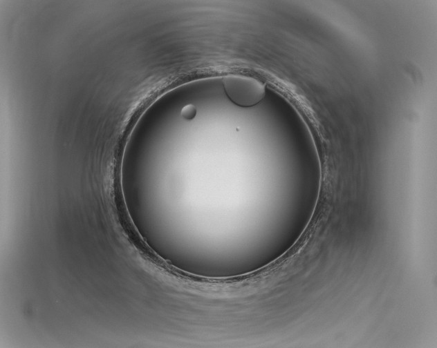 X0000115690010200911121318