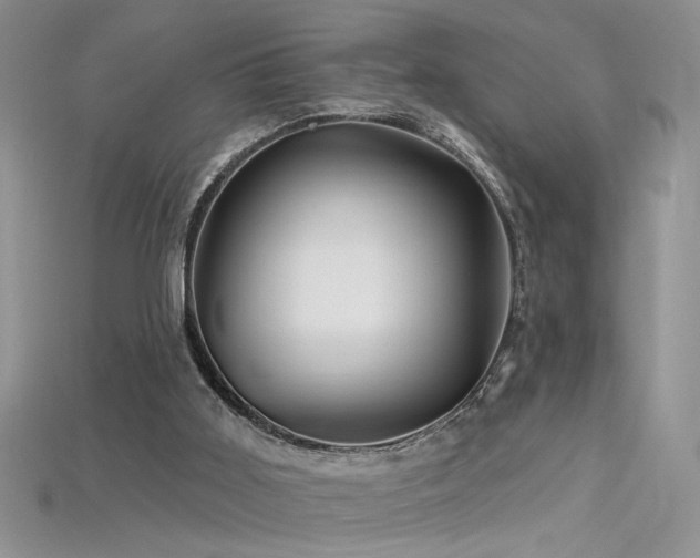 X0000115690011200911121317