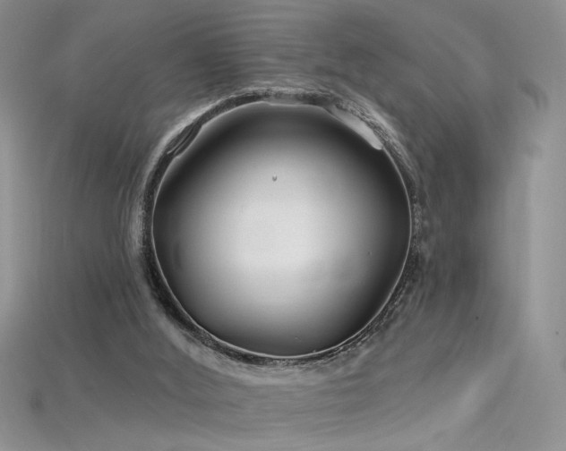 X0000115690012200911121317