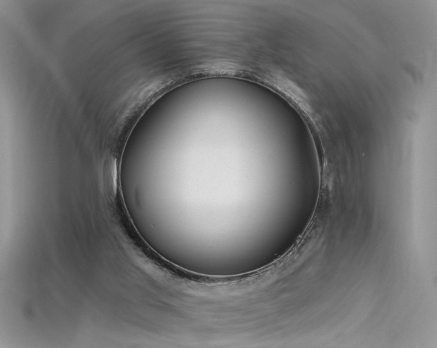 X0000115690013200911121317