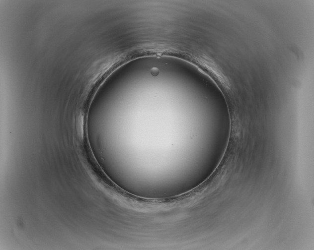 X0000115690014200911121317