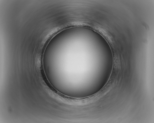 X0000115690015200911121317