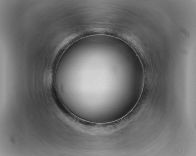X0000115690016200911121317