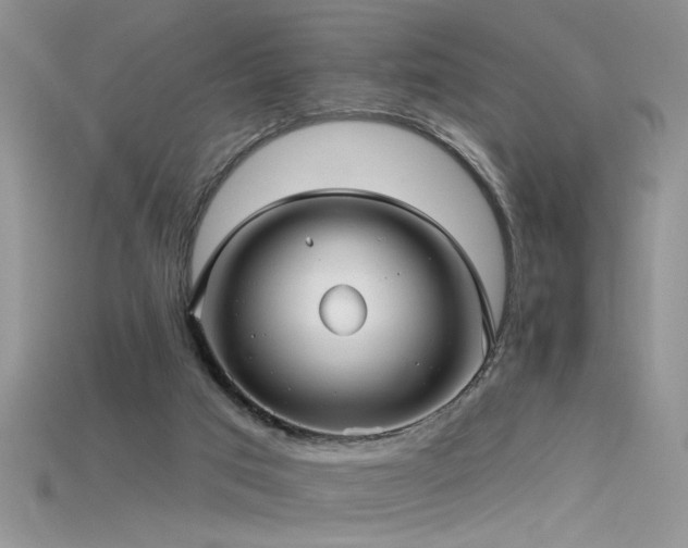 X0000115690017200911121317