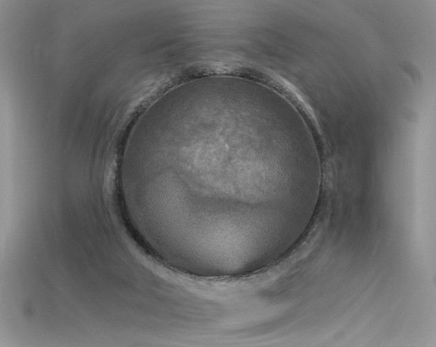 X0000115690018200911121317