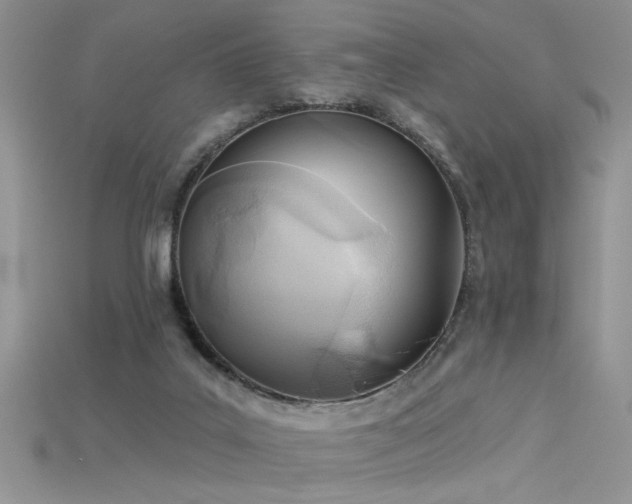 X0000115690019200911121317