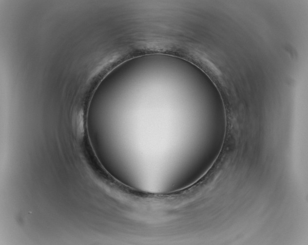 X0000115690020200911121317