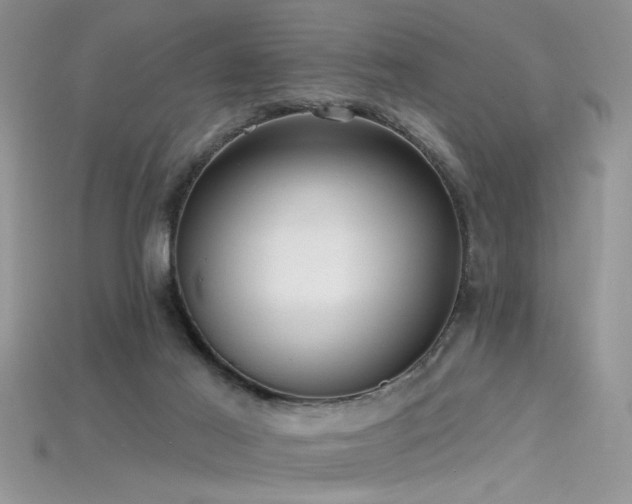 X0000115690021200911121317