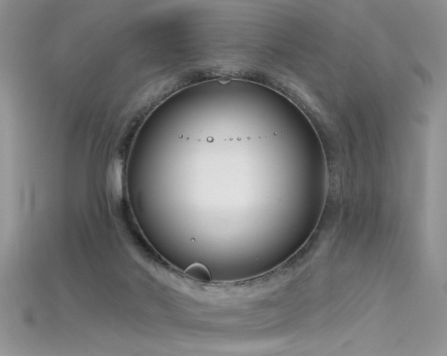 X0000115690022200911121317