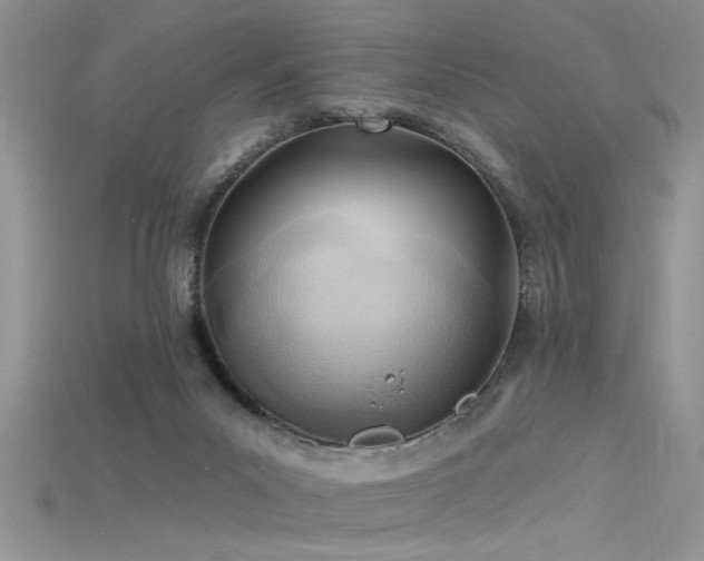 X0000115690023200911121317