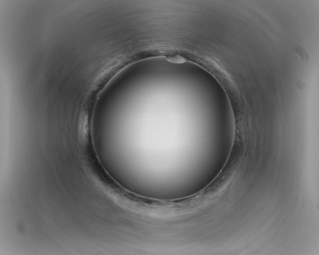 X0000115690024200911121317