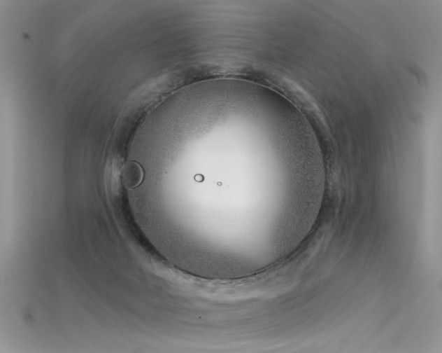 X0000115690026200911121317