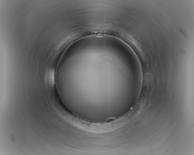 X0000115690027200911121317