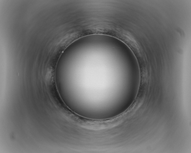 X0000115690029200911121317