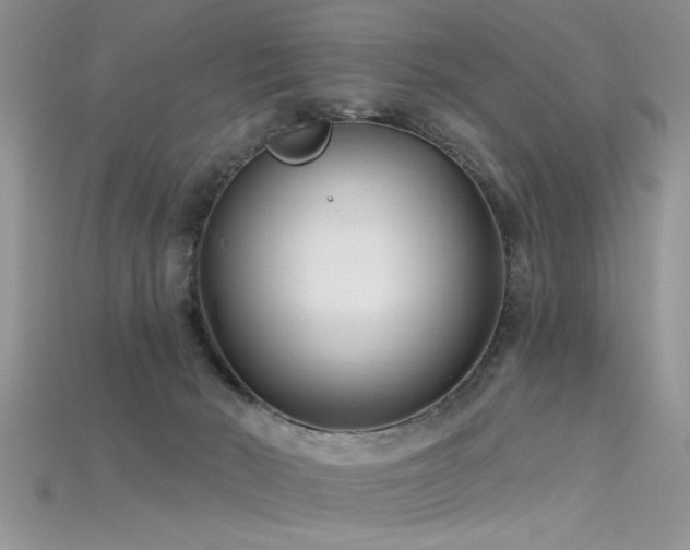X0000115690030200911121317
