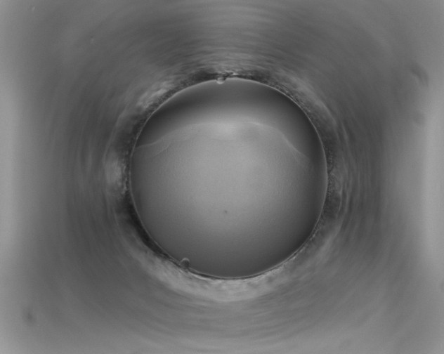 X0000115690031200911121317