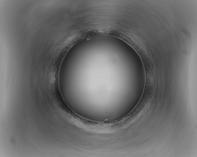 X0000115690032200911121317