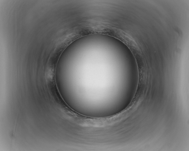 X0000115690033200911121317