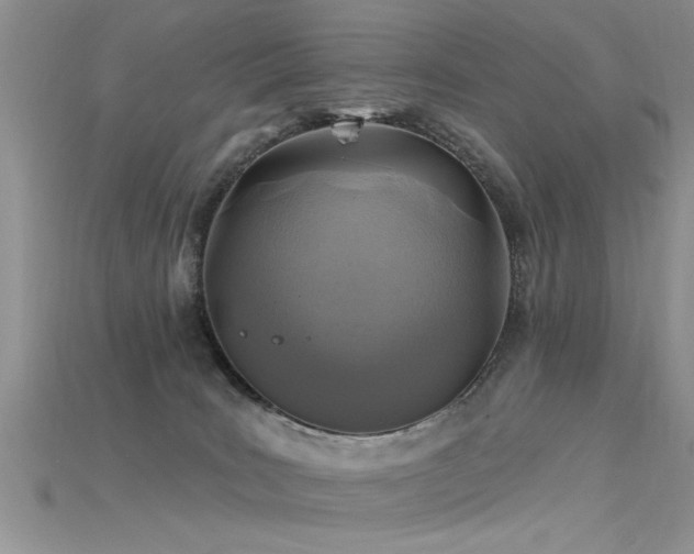 X0000115690035200911121317