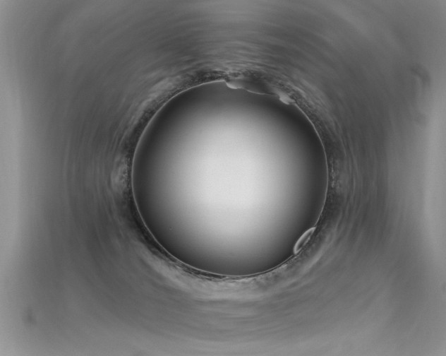 X0000115690036200911121317