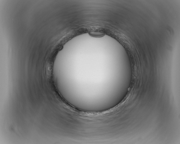 X0000115690037200911121317