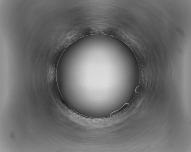X0000115690038200911121317