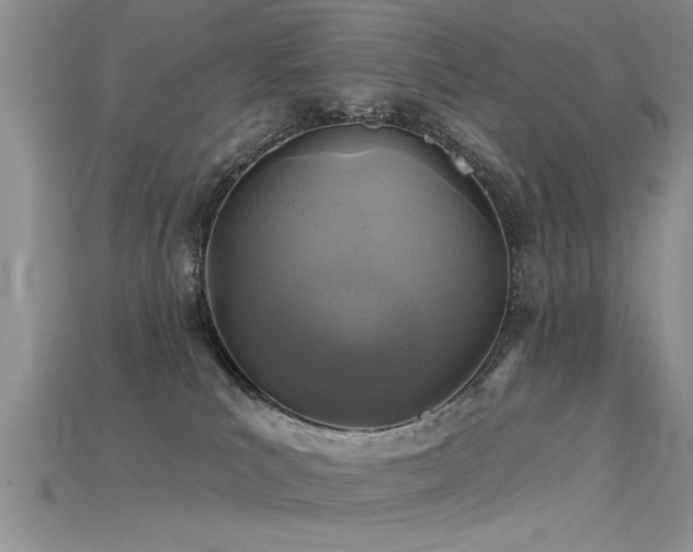 X0000115690039200911121317