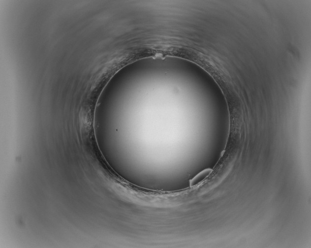 X0000115690040200911121317