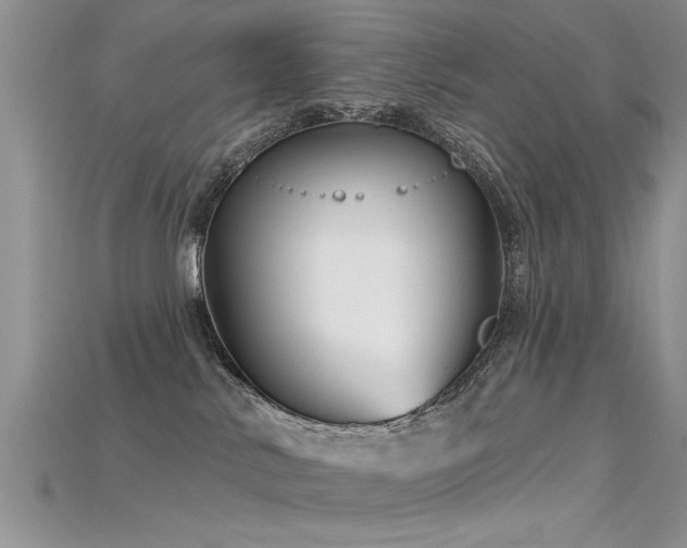X0000115690042200911121317