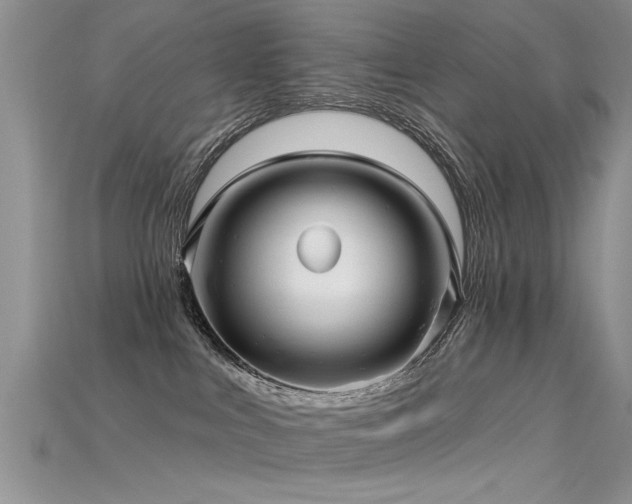 X0000115690043200911121317