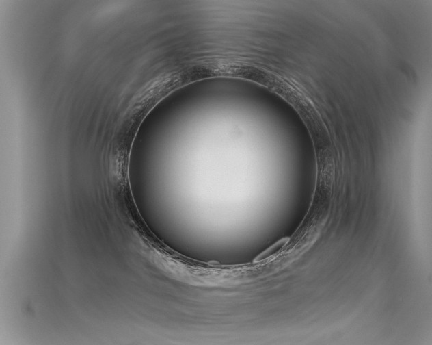 X0000115690044200911121317