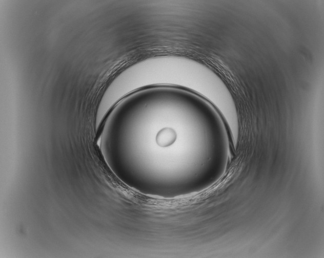 X0000115690045200911121317