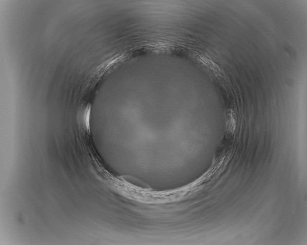 X0000115690047200911121317
