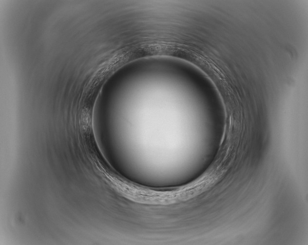 X0000115690048200911121317