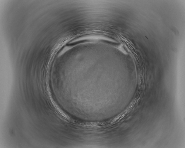 X0000115690049200911121316