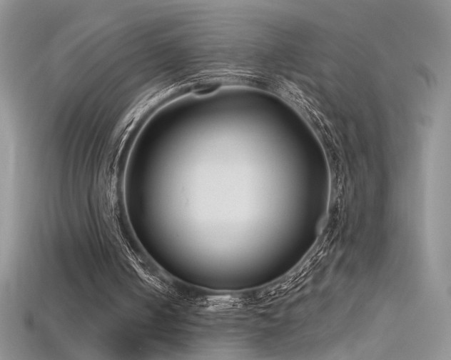 X0000115690050200911121316