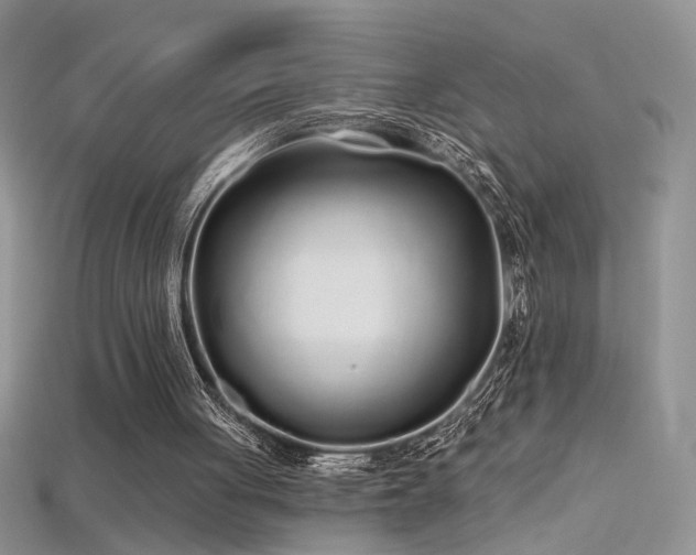 X0000115690051200911121316