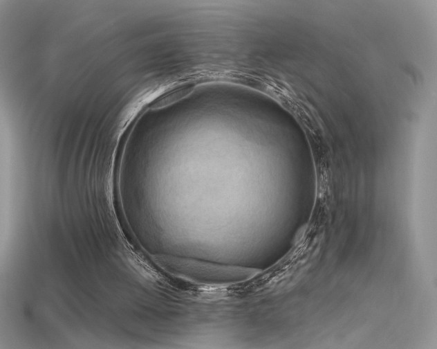 X0000115690052200911121316