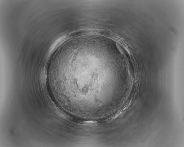 X0000115690053200911121316